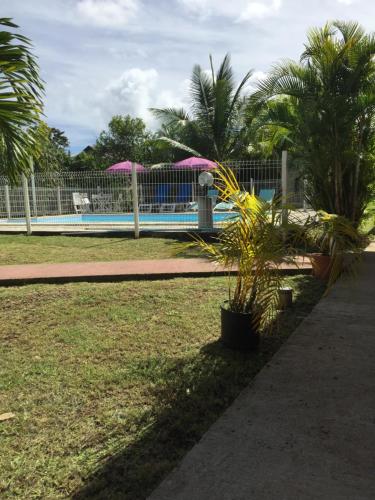 a park with a pool and palm trees and a fence at Résidence les Kalbassiers in Lamentin