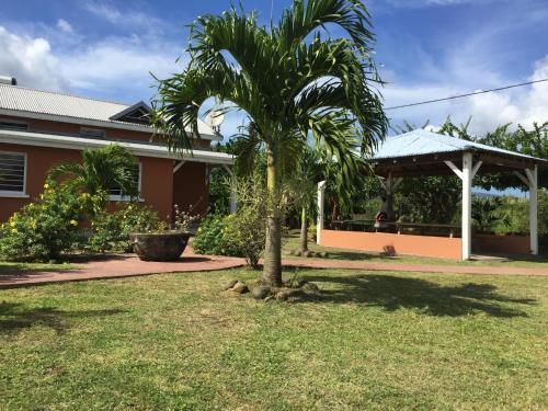 a palm tree in a yard next to a building at Résidence les Kalbassiers in Lamentin