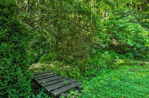 um banco de madeira sentado no meio de uma floresta em Nantahala Cabins em Bryson City