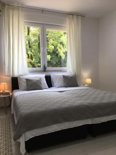 1 dormitorio con 1 cama grande y ventana grande en Apartments Valentina - free parking, en Mostar