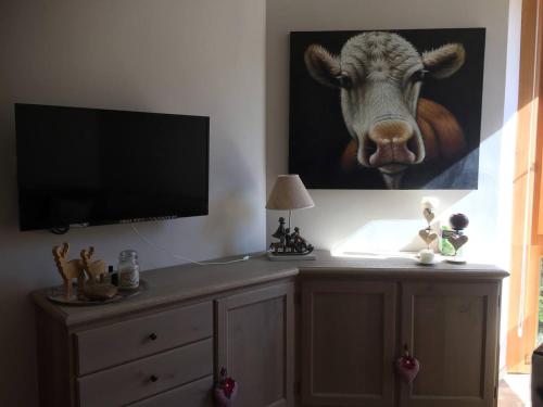 een kamer met een televisie met een koeienkop aan de muur bij Frazione Breuil Cervinia in Breuil-Cervinia
