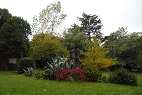 a garden with flowers and plants in the grass at Cabañas Ñuke Mapu in Villa Ventana