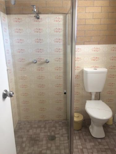 a bathroom with a toilet and a shower at Alexander Motor Inn in Moree