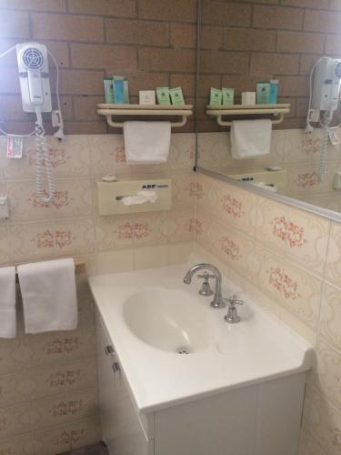 a bathroom with a sink and a mirror at Alexander Motor Inn in Moree