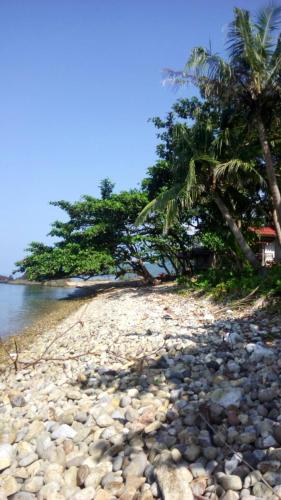 a rocky beach with two palm trees and water at Paradise Palms in Ko Chang