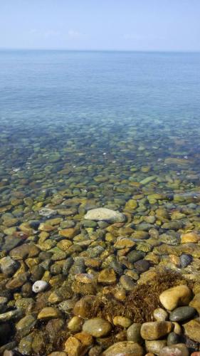 a close up of rocks in the water at Paradise Palms in Ko Chang