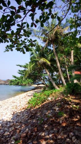 a beach with palm trees and the water at Paradise Palms in Ko Chang