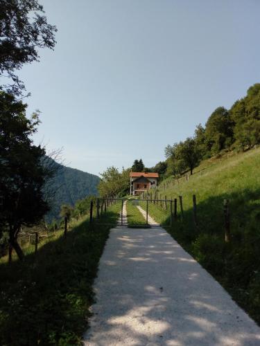 a path leading to a house on a hill at Apartment Abinkar in Tolmin