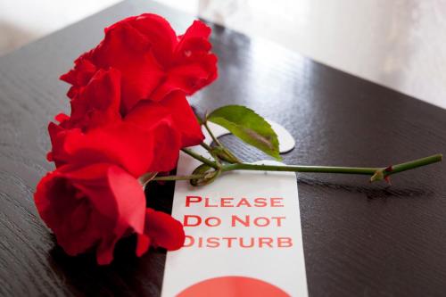 a red rose sitting on a table with a sign at Manjimup Motor Inn in Manjimup