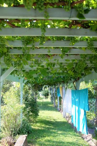 a white pergola with green ivy on it at Le clos du Ru in Presnoy