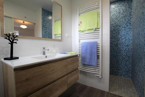 La salle de bains est pourvue d'un lavabo et d'une douche. dans l'établissement Le Suc du Pommier, à Yssingeaux