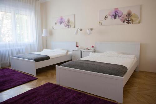 Gallery image of Synagogue View Apartment in Budapest