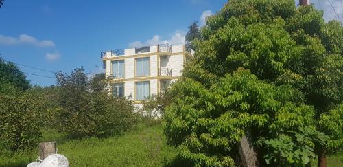 a yellow building on top of a hill next to a tree at Wonderland in Chakvi
