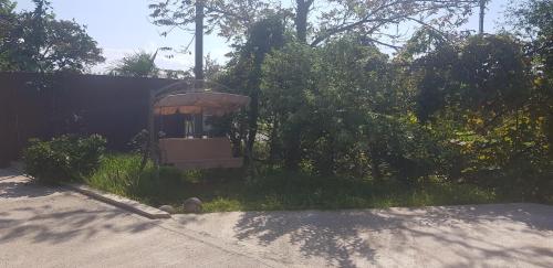 an object sitting in the grass next to a road at Wonderland in Chakvi