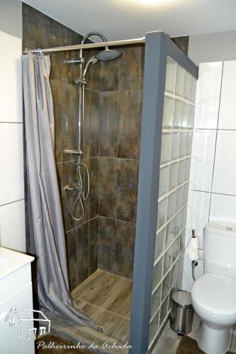 a shower stall in a bathroom with a toilet at Palheirinho da Achada in Arco da Calheta