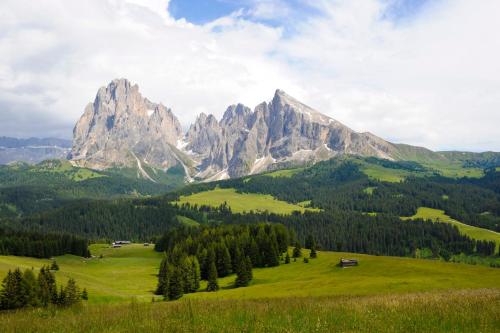a green field with a mountain in the background at Hotel Lamm in Castelrotto
