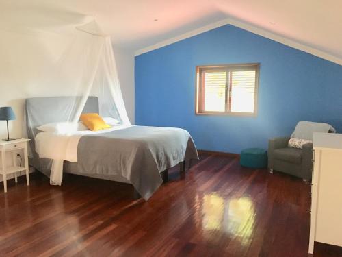 a bedroom with a bed and a blue wall at Catloc & Kitcat Alojamento Local in Costa de Além