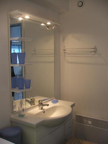 une salle de bain avec un lavabo et un miroir dans l'établissement Gite De La Riviere, à Wissant