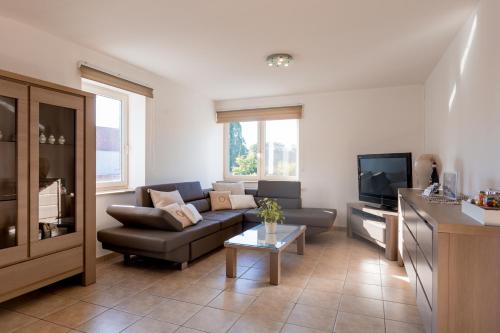 a living room with a couch and a tv at Casa Roman - nieuwe vakantiewoning - Deluxe 4p - Relax 4p - Comfort 4p -- ---Cosy 2p in Zonhoven