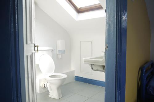 a bathroom with a toilet and a sink at The Connemara Hostel - Sleepzone in Leenaun