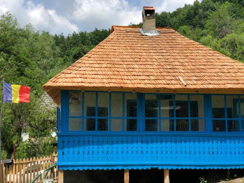 a blue house with a tile roof and a flag at Casa Albastră in Băile Olăneşti