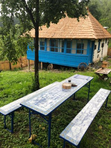 a picnic table and bench in front of a house at Casa Albastră in Băile Olăneşti