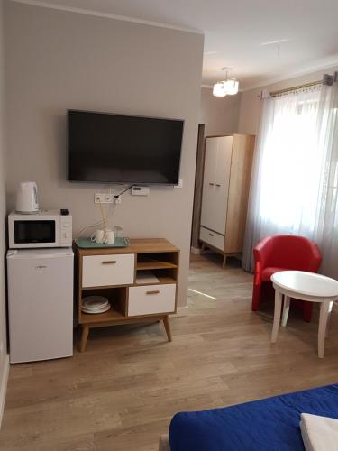 Μια τηλεόραση ή/και κέντρο ψυχαγωγίας στο Apartamenty Białowieża