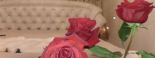 a vase with two red roses in front of a couch at Royal King and Queen apartment for Luxury Life in Sarandë