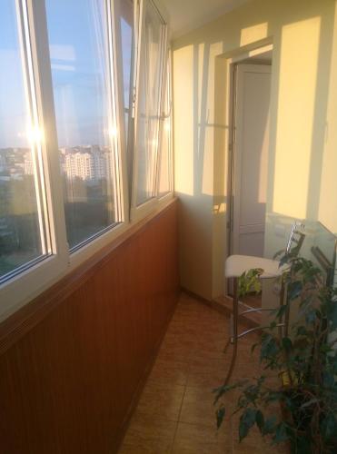 a room with windows and a chair and a plant at СВІТЛО ЦІЛОДОБОВО Просторі апартаменти біля гідропарку Топільче in Ternopilʼ