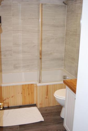 a bathroom with a tub and a toilet and a shower at TheWaterfrontLodges in Coventry