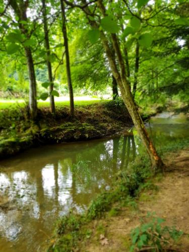 a stream in a wooded area with trees and water at Maison du bonheur in Gan