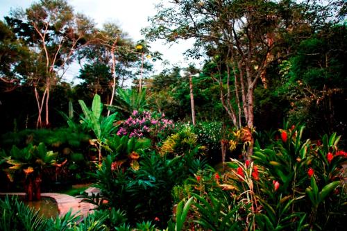 Sitio Bom Tempo – Photos 3