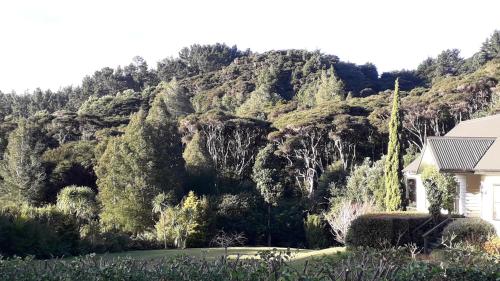 a house in front of a mountain with trees at Kuaotunu's Peebles Cottage in Kuaotunu