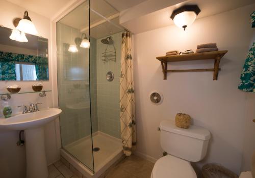 a bathroom with a shower and a toilet and a sink at Wailuku Guesthouse in Wailuku