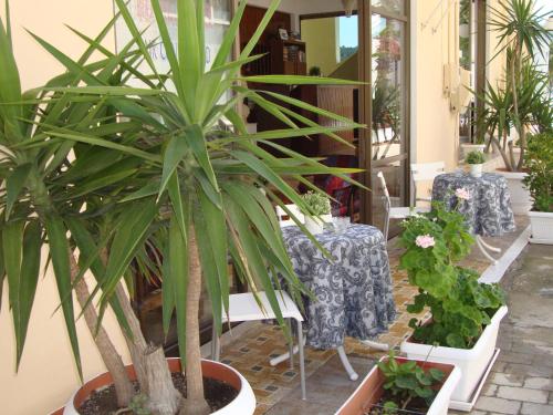 Κήπος έξω από το Rachel Hotel 