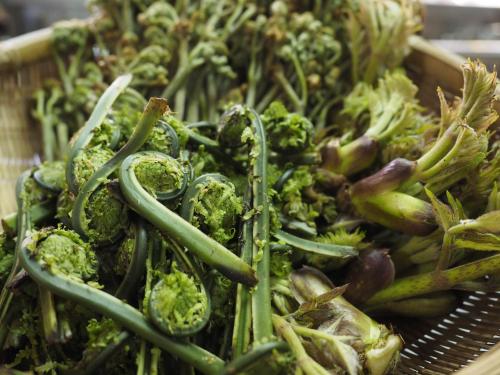 a pile of broccoli and other vegetables in a basket at Super Hydrogen Rich Spa Yado Kanzan in Minakami