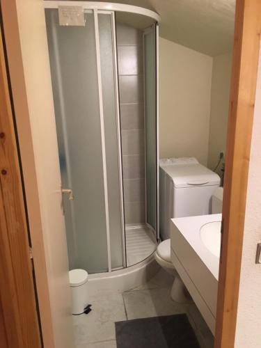 une salle de bain avec une douche, des toilettes et un lavabo dans l'établissement Duplex Apartment Right At The Ski Lift Tracks, à Valmorel