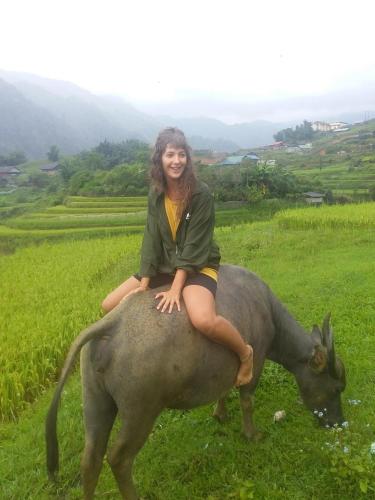 a woman sitting on top of a cow in a field at ChienDe Homestay in Sa Pa