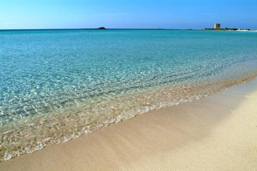 a beach with the ocean and the shoreline at Residence La Corte in Porto Cesareo
