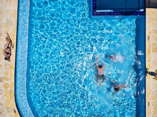 a dog is swimming in a swimming pool at BIG4 Breeze Holiday Parks - Busselton in Busselton