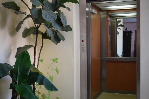 a hallway with a plant next to a door at Hotel Jeravna in Bankya