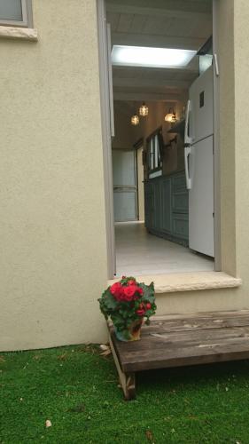 a pot of flowers sitting on a bench next to a house at Galit's Zimmer in Sha‘alvim