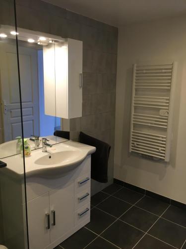 une salle de bain avec un lavabo blanc et un miroir dans l'établissement La Terrasse des Cevennes, à Ribes