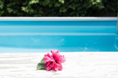 Πισίνα στο ή κοντά στο Mango Cottage with AC, Unlimited Wifi and Private pool