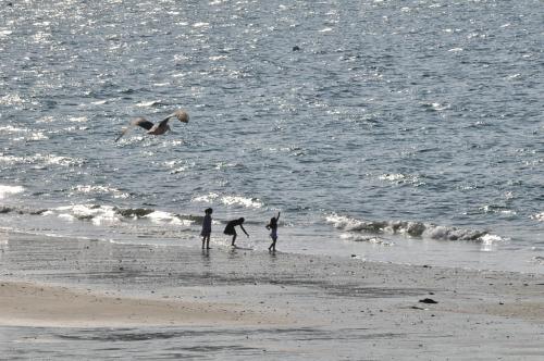 Le Braz Saint Lunaire – Photos 3