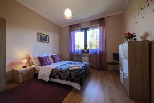 a bedroom with a bed and a window at Villa Aviator in Jaworze