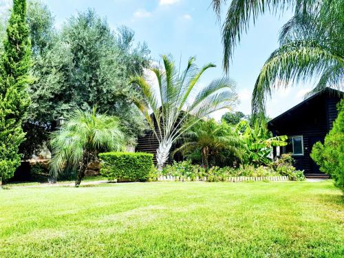 Jardín al aire libre en Good Zimmer With Love