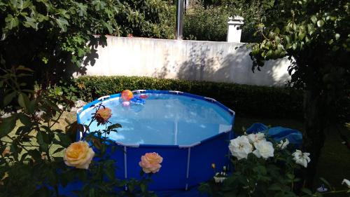 Bazén v ubytování O Nosso Cantinho nebo v jeho okolí