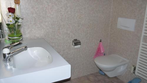 a bathroom with a white sink and a toilet at Gasthaus Bergheim in Gurtnellen
