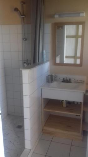 une salle de bains avec un lavabo et un miroir dans l'établissement bienvenue à bord, à Saint-François